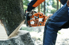 Бензопила Husqvarna® 562XP 15