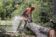 Бензопила Husqvarna® 550XP Mark II 15