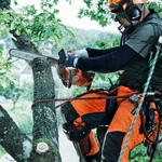 Бензопила Husqvarna® T435-12