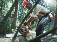 Бензопила Husqvarna® 562XP 15